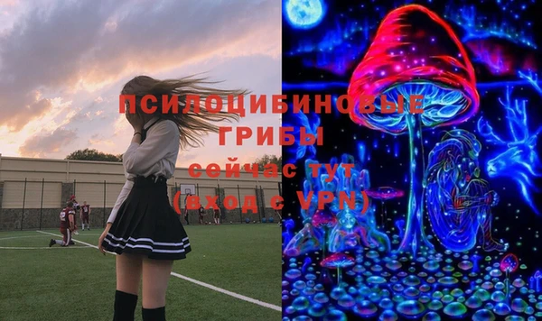 прущий лед Алексин
