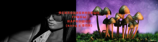 прущий лед Алексин