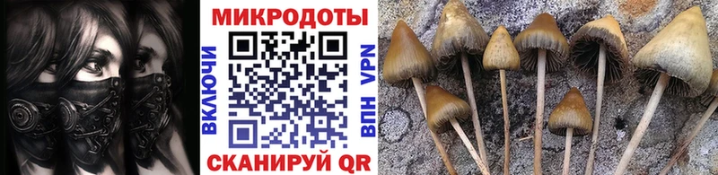 нарко площадка телеграм  как найти закладки  Сенгилей  Галлюциногенные грибы Psilocybe  blacksprut рабочий сайт 